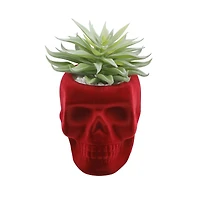 Flora Bunda® Succulent in Burgundy Flocked Ceramic Skull