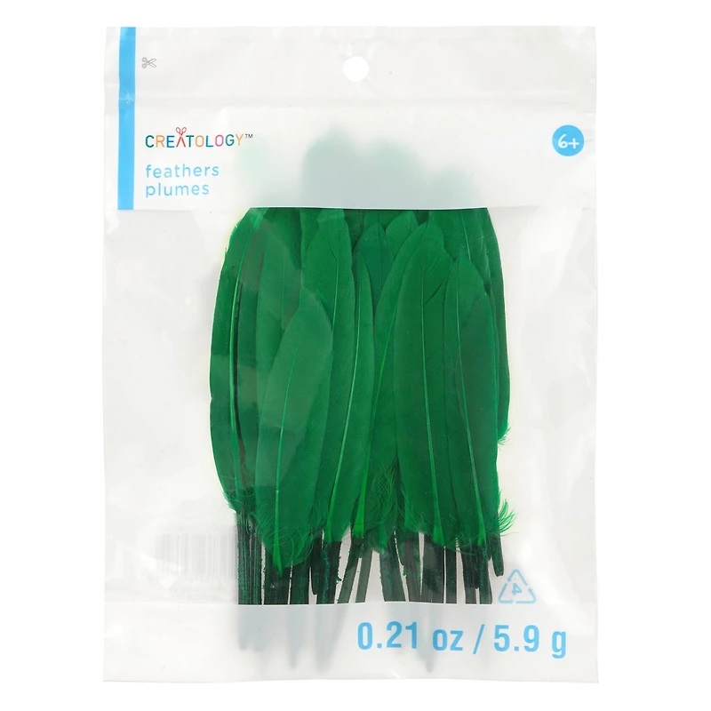 Craft Goose Feathers by Creatology™