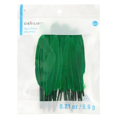 Craft Goose Feathers by Creatology™