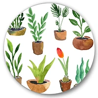 Designart - Eight Potted House Plants
