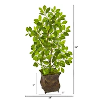 3ft. Ficus Tree in Metal Planter