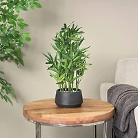 19" Green Foliage Artificial Plant with Black Pot