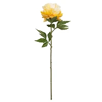 29" Yellow Peony Stem by Ashland®