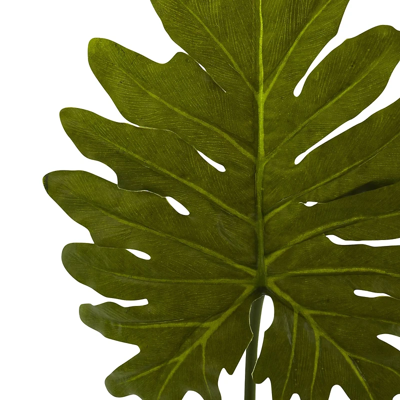 Selloum Philo Single Leaf Stem, 12ct.