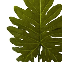 Selloum Philo Single Leaf Stem, 12ct.