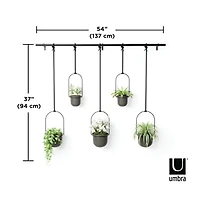 Umbra Black Triflora Hanging Planter Set