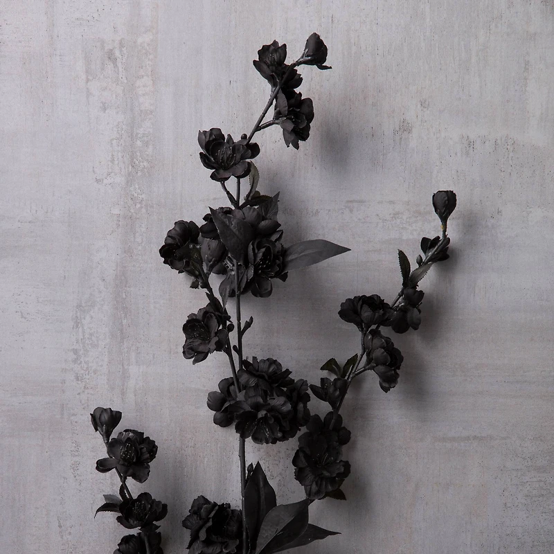 12 Pack: Black Blossom Spray by Ashland®