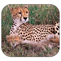 Schylling View-Master® Discovery Kids™ Boxed Set