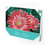 Diamond Dotz® Intermediate Pink Gerberas Pre-Framed Diamond Painting Kit