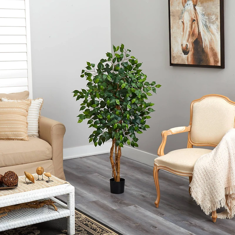 4ft. Potted Ficus Tree