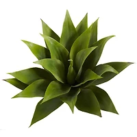 Agave Plant Spikes, 2ct.