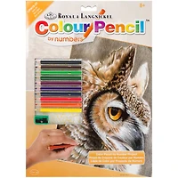 Royal & Langnickel® Sepia Owl Colour Pencil™ by Numbers Kit