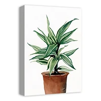 Leafy Green Potted Plant 11" x 14" Canvas Wall Art