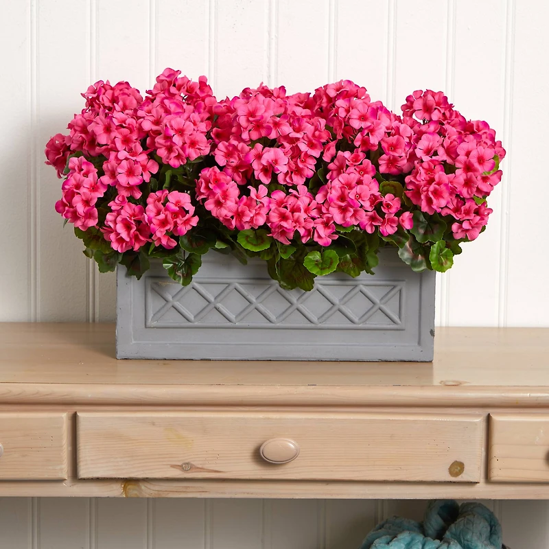 18” Beauty Geranium in Stone Planter