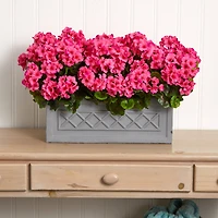 18” Beauty Geranium in Stone Planter