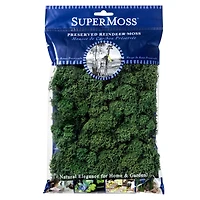 SuperMoss® Preserved Reindeer Moss, Forest