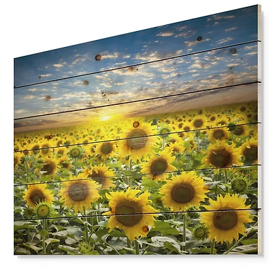 Designart - Field of Blooming Sunflowers - Flower Print on Natural Pine Wood