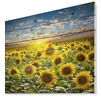Designart - Field of Blooming Sunflowers - Flower Print on Natural Pine Wood