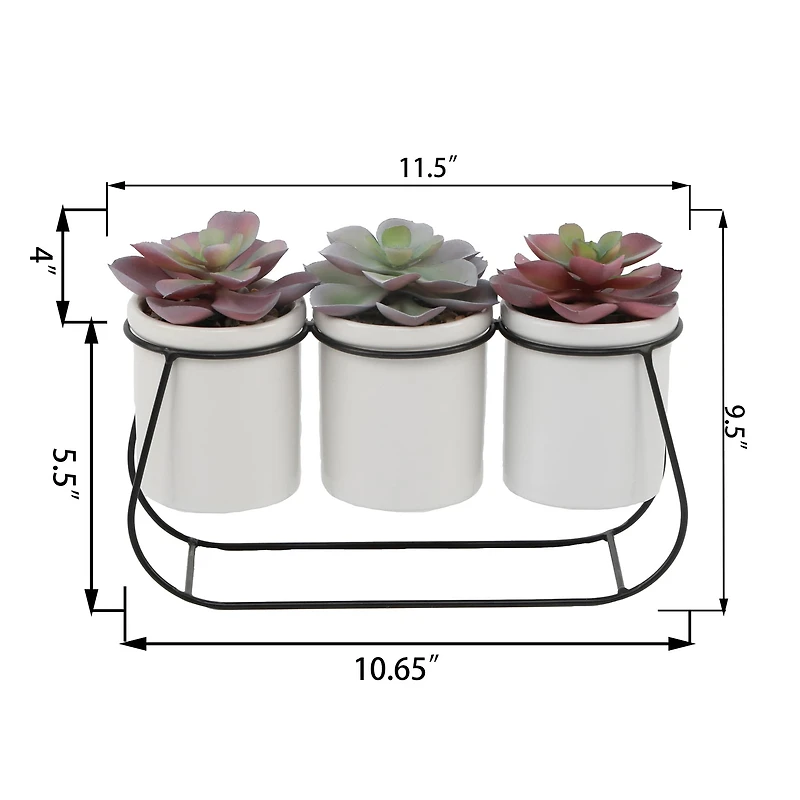 Flora Bunda® 11.5" Potted Succulents in Metal Stand