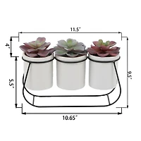 Flora Bunda® 11.5" Potted Succulents in Metal Stand