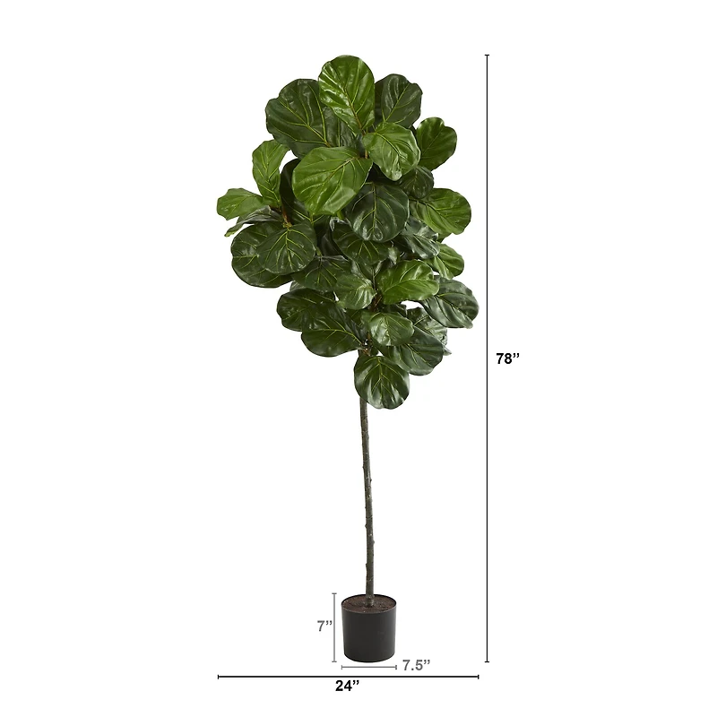 6.5ft. Potted Fiddle Leaf Tree