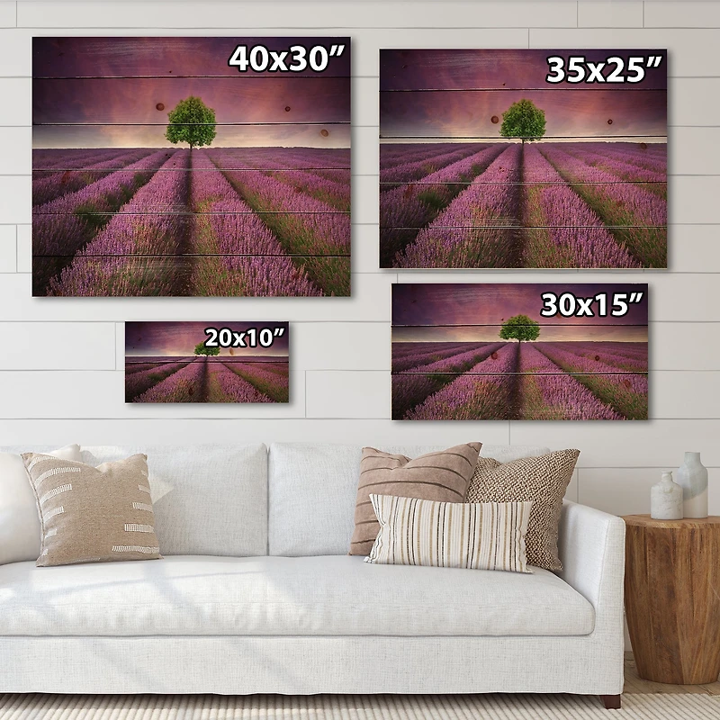 Designart - Stunning Lavender Field Summer Sunset With Tree