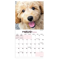 TF Publishing 2024 Puppies Mini Calendar