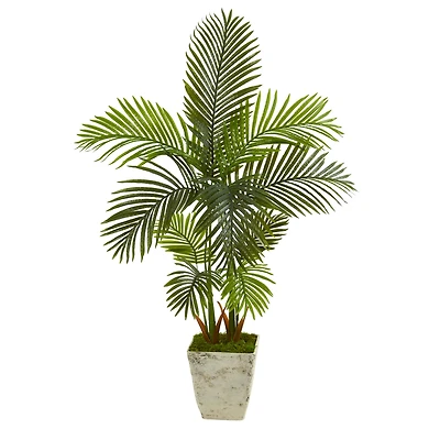 4.5ft. Areca Palm Tree in Country White Planter
