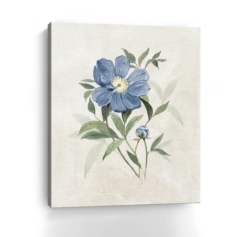 Farmhouse Periwinkle III Canvas Giclee