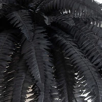 48in. Artificial Halloween Black Boston Fern - Set of 2