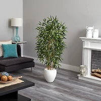 5ft. Bamboo Tree in Oval White Planter