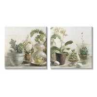 Stupell Industries Succulent House Plants Country Charm Green Brown Canvas Wall Art