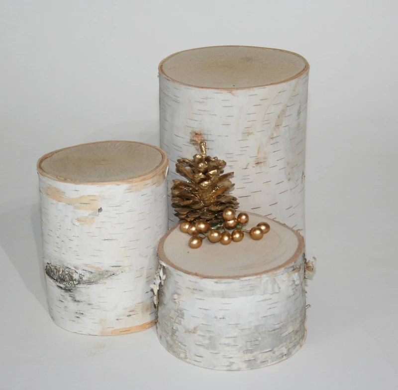 Wilson® Enterprises Birch Pillar Set