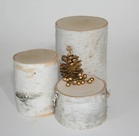 Wilson® Enterprises Birch Pillar Set