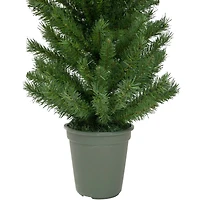 4ft. Unlit Virginia Pine Walkway Slim Artificial Potted Christmas Tree
