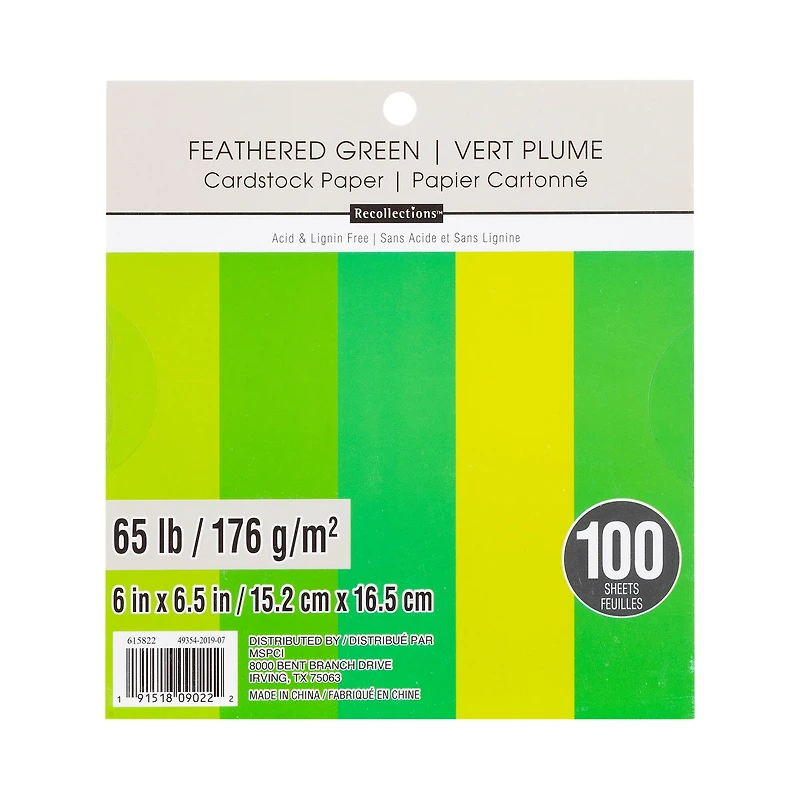 Feathered Green 6" x 6.5" Cardstock Paper by Recollections™, 100 Sheets