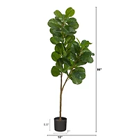 5.5ft. Potted Fiddle Leaf Fig Tree