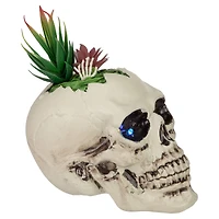 9" LED Lighted Succulent Halloween Skull Planter