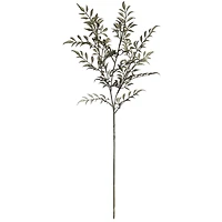 Green Sharp Fern Stem by Ashland®