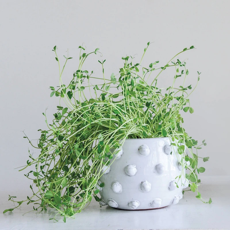 Hello Honey® 5.5" White Bubbled Design Terra Cotta Planter