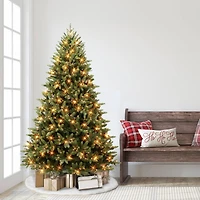 6.5ft. Pre-Lit Westford Spruce Artificial Christmas Tree, Clear Lights
