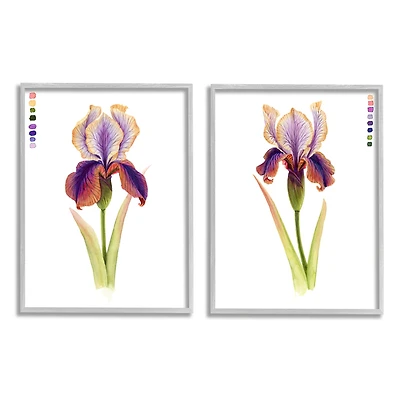 Stupell Industries Orange Purple Iris Flower with Color Key in Frame Wall Art