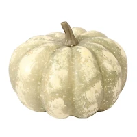4.75" Sage Decorative Pumpkin by Ashland®