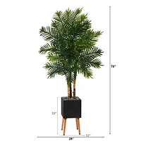 70" Areca Palm Tree in Black Planter with Stand
