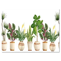 Designart - Trio of Houseplants Sanseviera Snake Plant