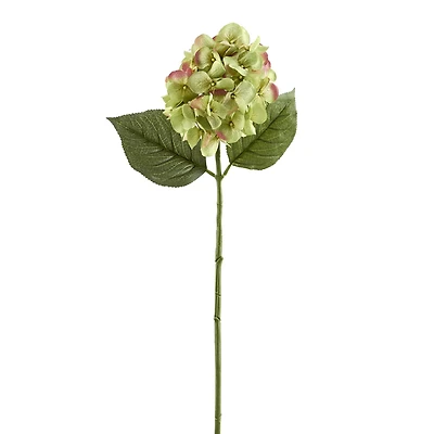 12 Pack: Green Hydrangea Stem by Ashland®