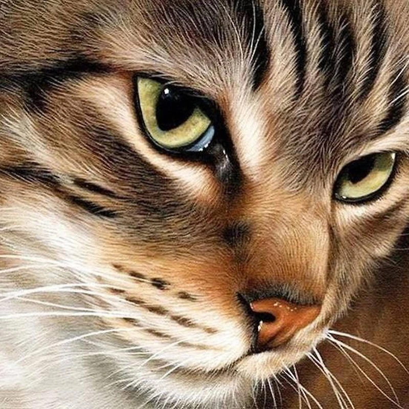 Crafting Spark Mysterious Cat Diamond Painting Kit