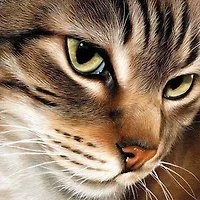 Crafting Spark Mysterious Cat Diamond Painting Kit