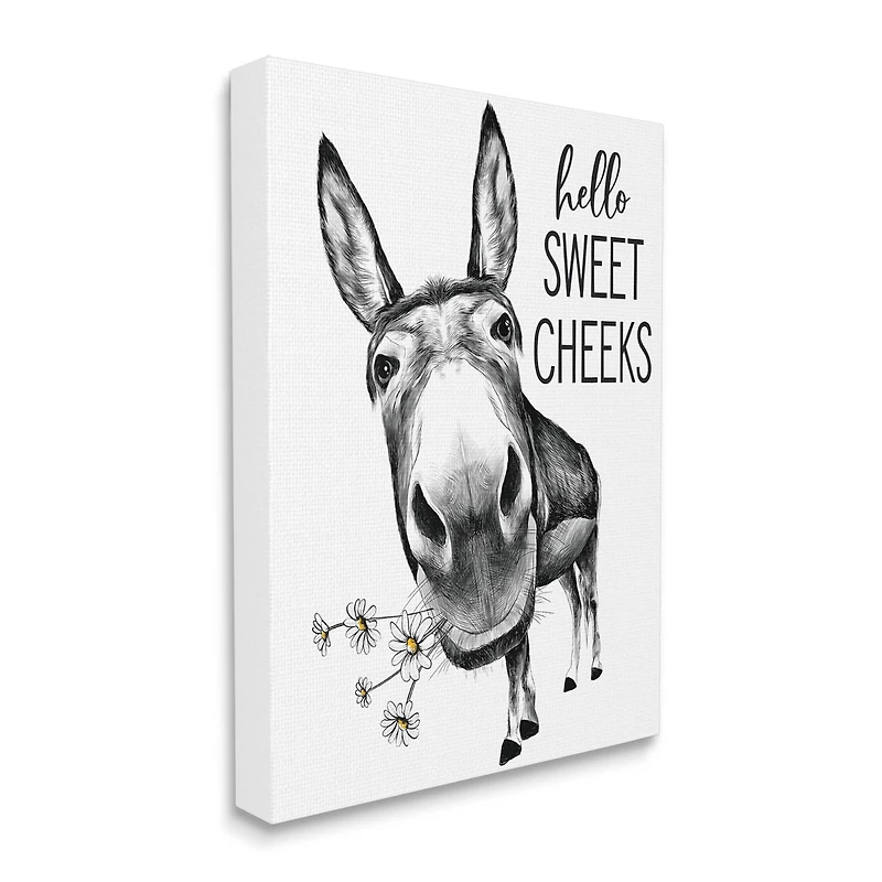 Stupell Industries Hello Sweet Cheeks Animal Humor Donkey Daisies Canvas Wall Art