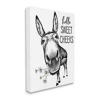 Stupell Industries Hello Sweet Cheeks Animal Humor Donkey Daisies Canvas Wall Art